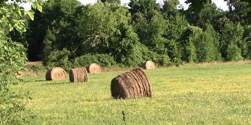 hay field