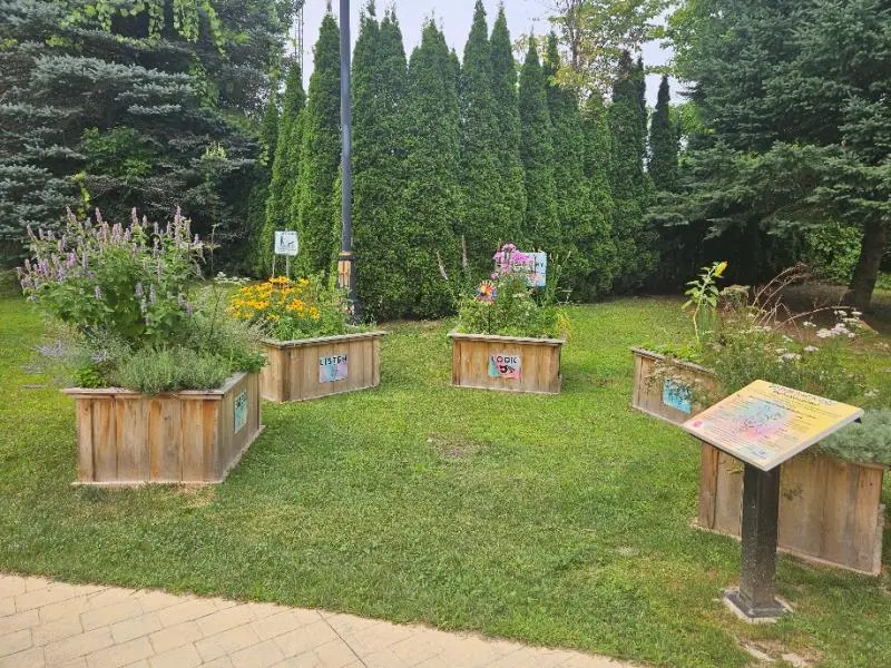 sensory garden