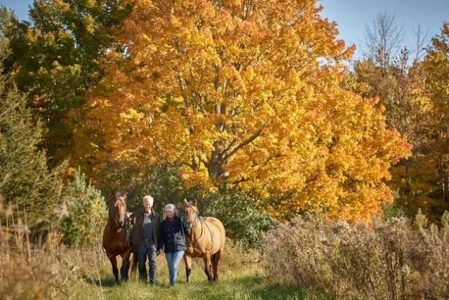 2 horses and 2 people walking along a path in fall