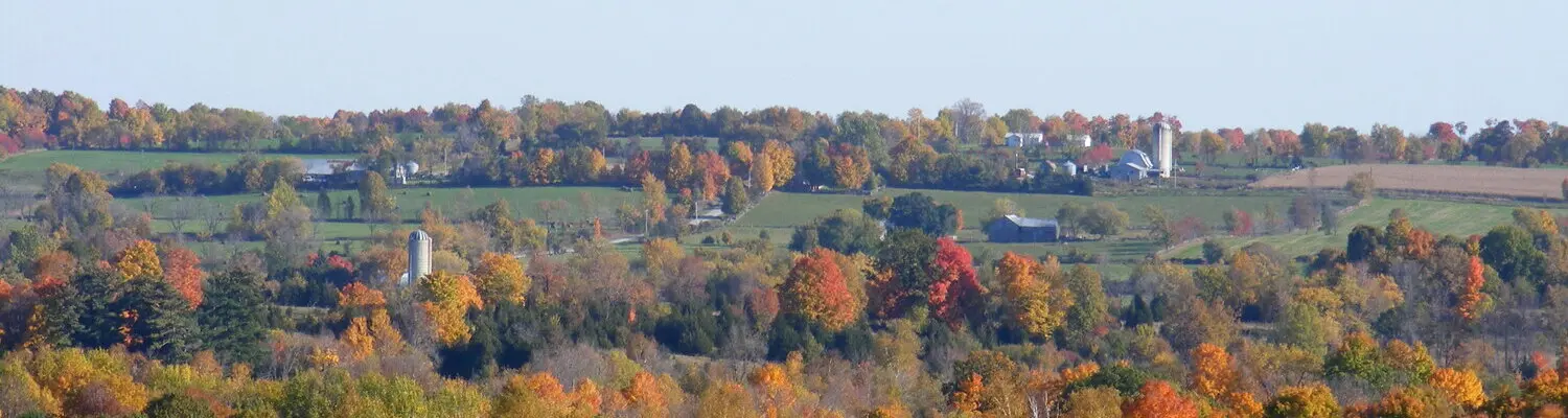 aerial photo of fall colours
