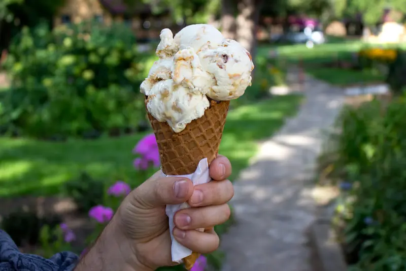 Opinicon Ice Cream 