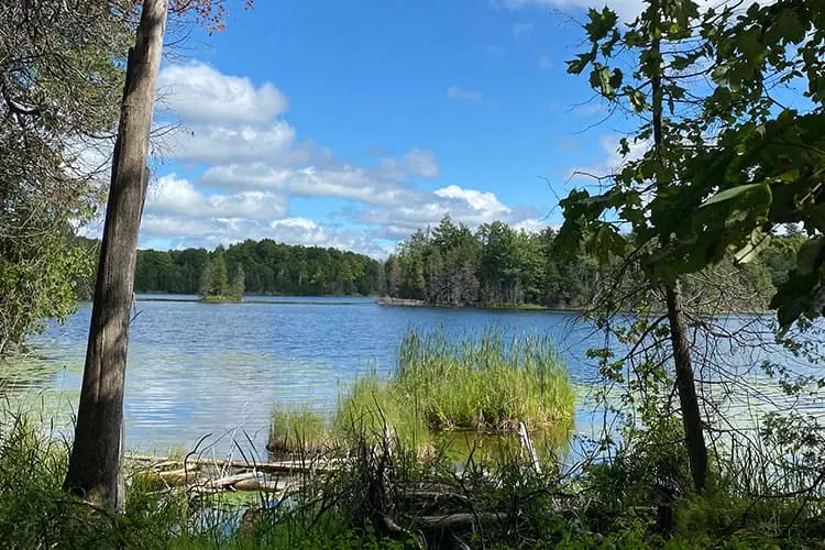 Mill Pond Conservation Area