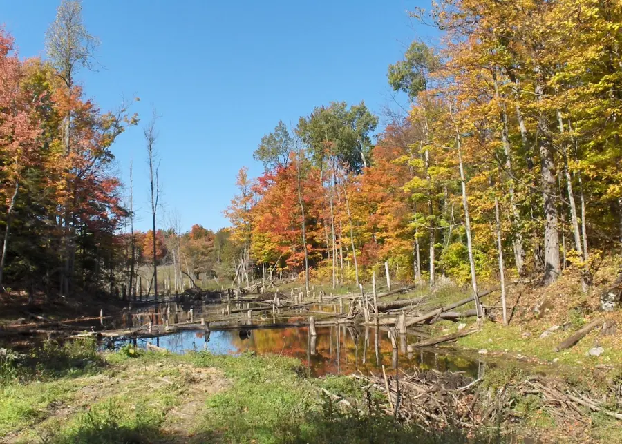 Lower Beverley Lake Park Trail