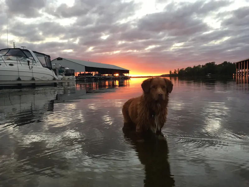 Bayview Yacht Harbour