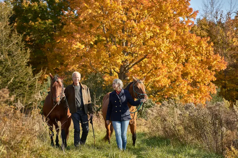 Equestrian Outings