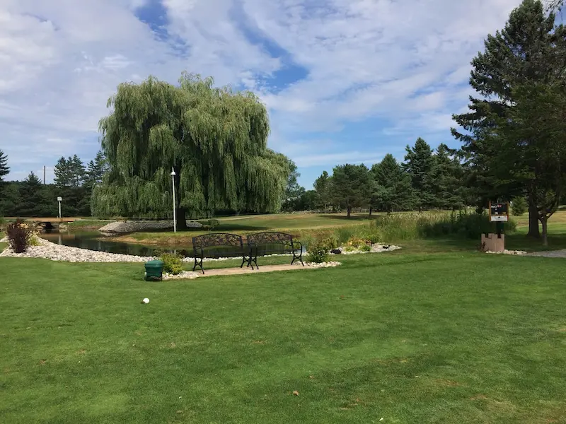 evergreen golf course