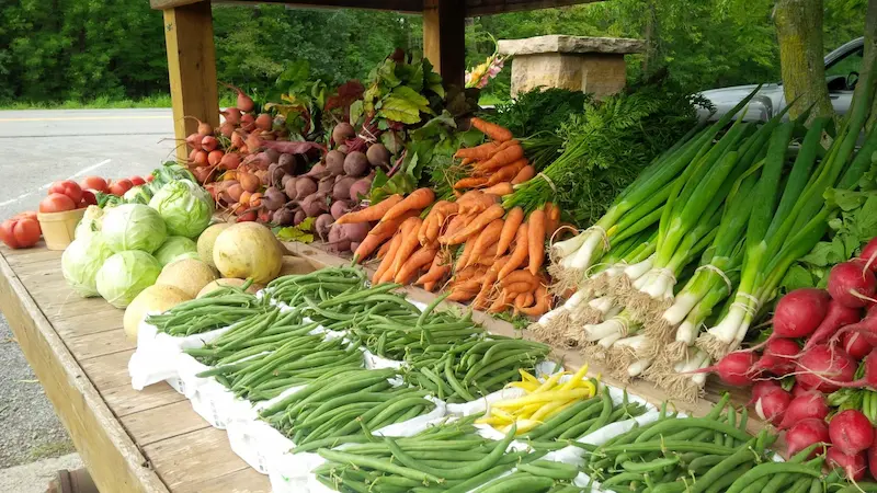 Miller’s Bay Farm
