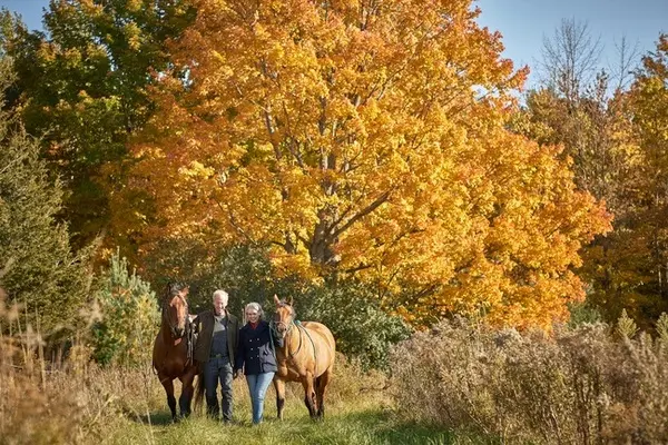 delta wood farm