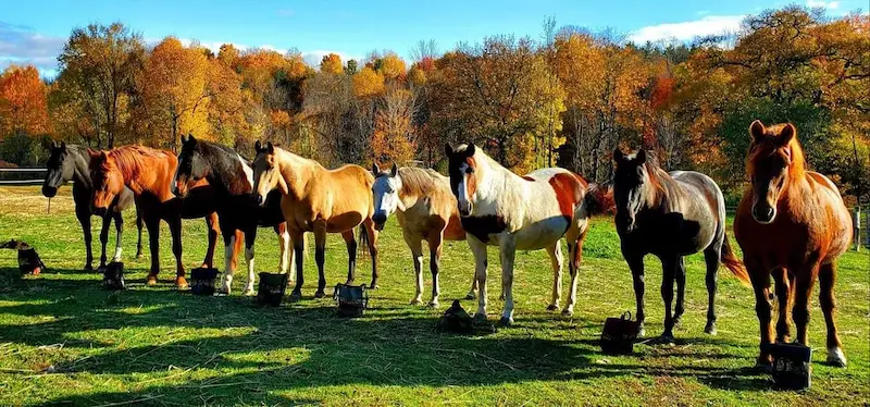 Sky’s the Limit Ranch