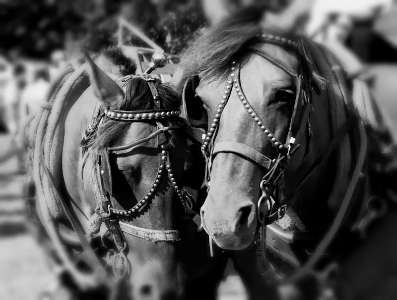 precious moments