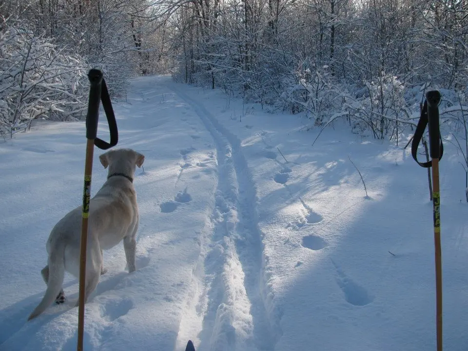 Photo by Tanis Cowan Newboro Memorial park