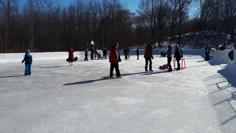 delta rec centre rink