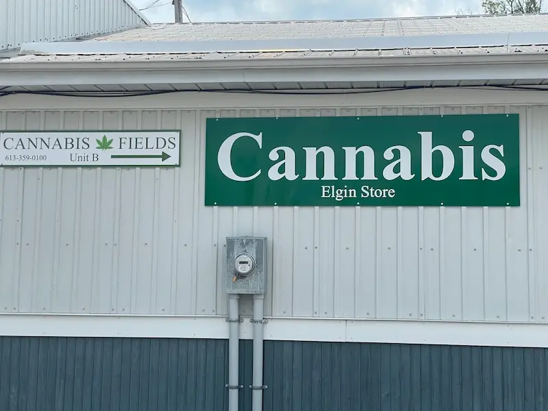 Cannabis Fields