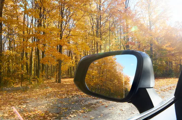 fall drive
