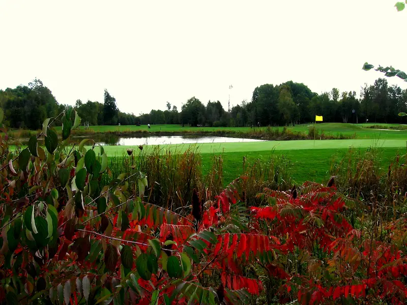 Lombard glen golf course