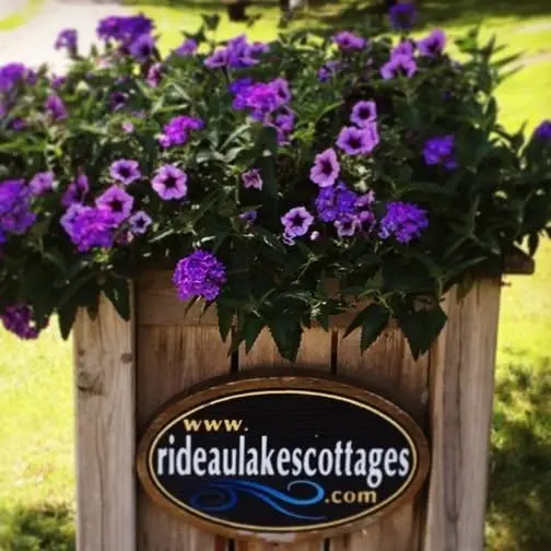 Rideau Lakes Cottages