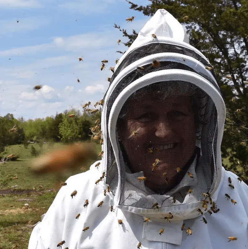 Debbees Bees Facebook Page Debbees Bees