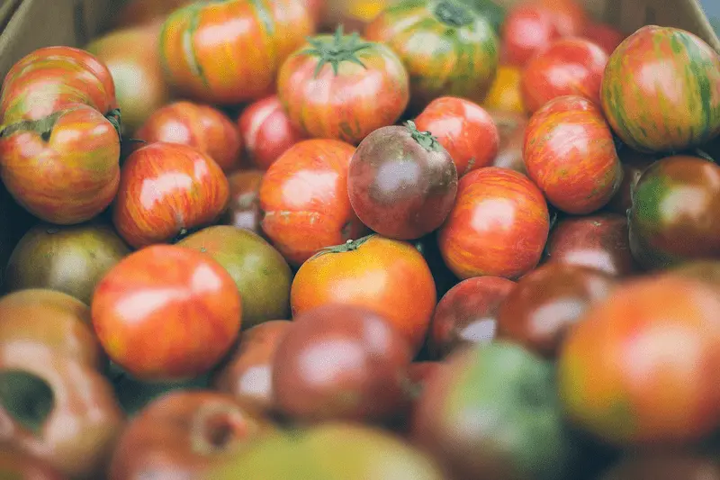 heritage seed & produce