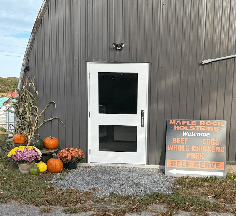 Maple Rock Holsteins Facebook Page Maple Rock Holsteins