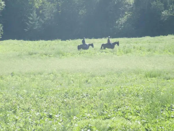 Horseback Riding at Deltawood Farm 