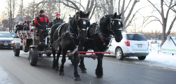 Precious Moments Carriages 