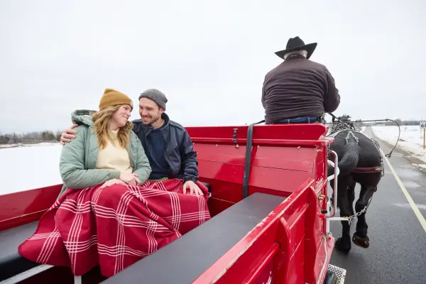 Horse Drawn Carriage 