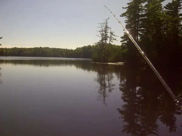 Pine Glen Lodge 