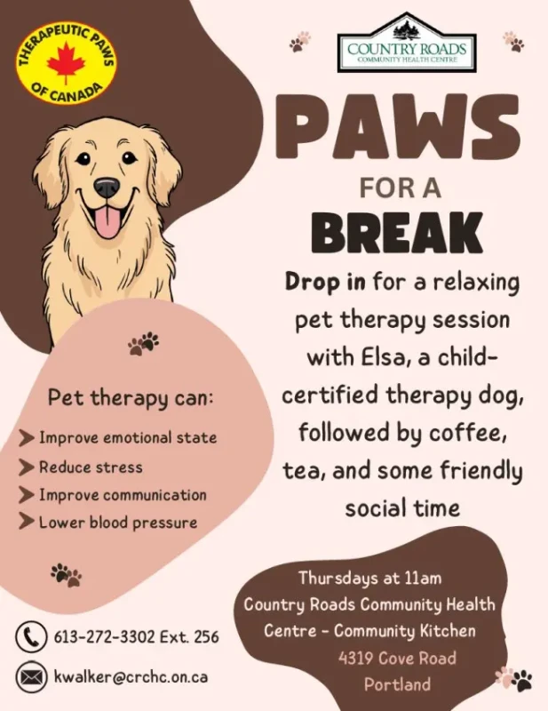 orig_paws.webp