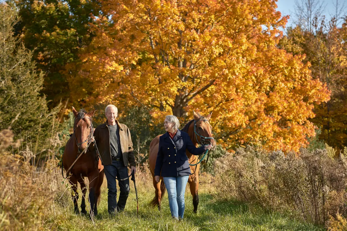 Equestrian Outings