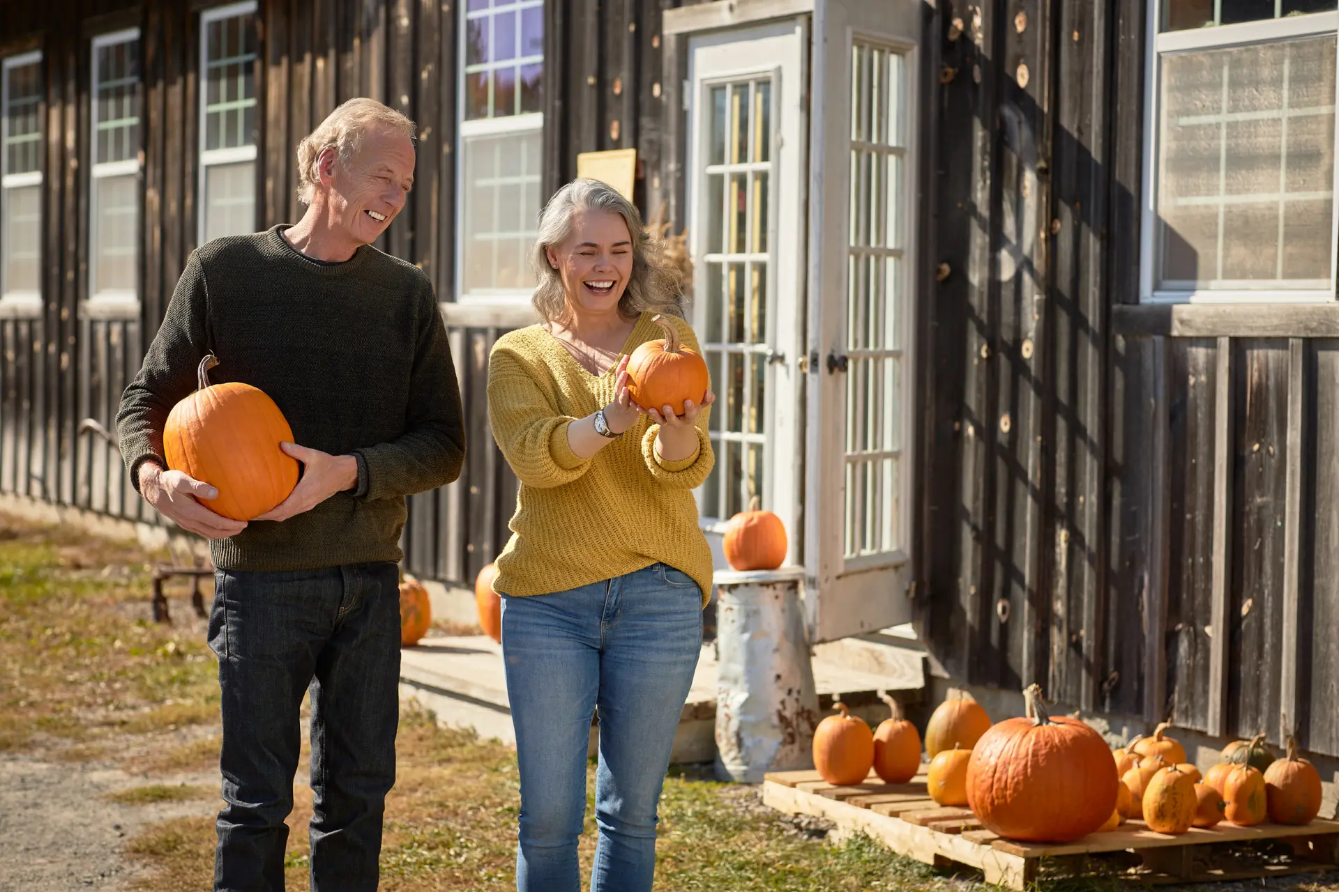 pumpkin season