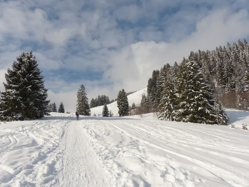 snowshoeing