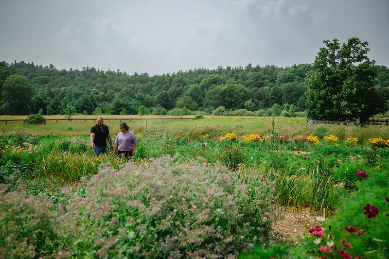 No. 9 Gardens, photo by Tim Forbes | RTO