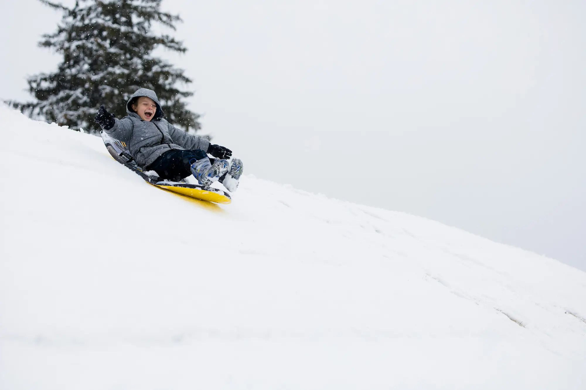 tobogganing